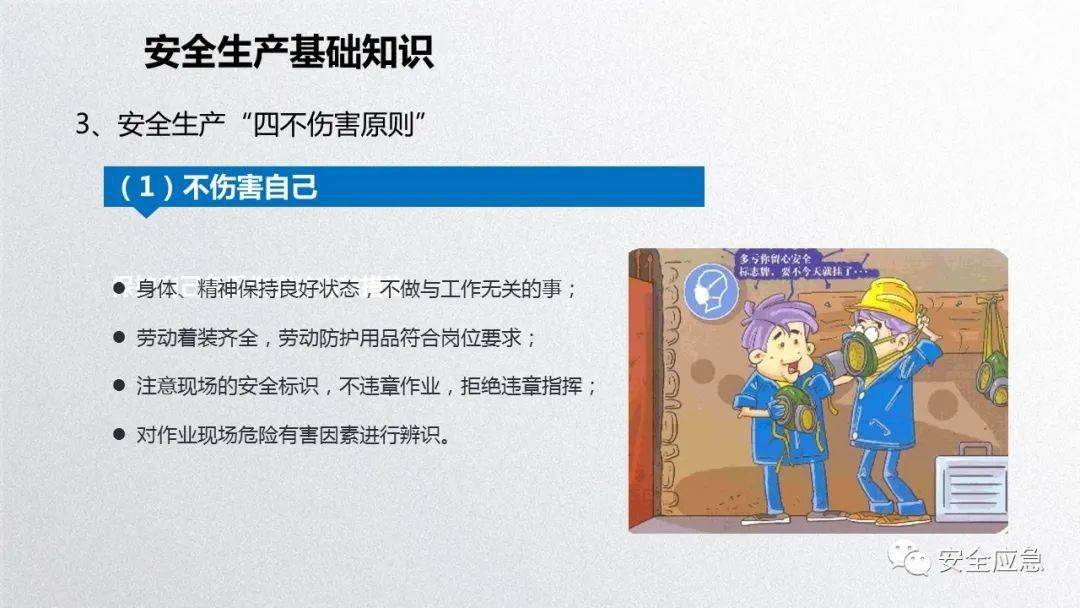 2023年安全培训必备10部警示片及新员工三级安全培训课件