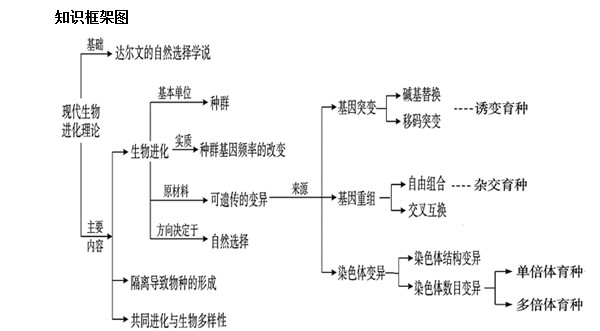高考生物知识整理，遗传规律、变异育种进化要点全在这