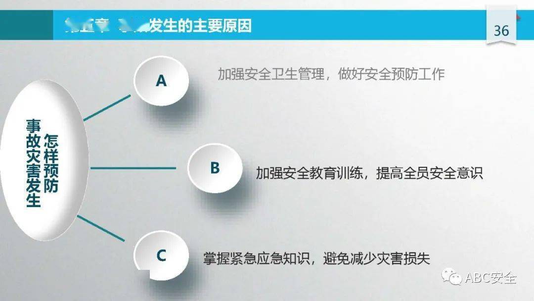 施工安全管理要点及事故案例警示,含违章行为与隐患标准