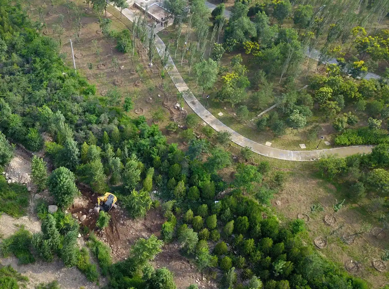 探访申冬奥成功五周年,北京、延庆和张家口赛区冬奥场馆建设