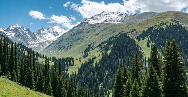 高考地理山地垂直带谱考点:基带、带谱复杂度等核心知识