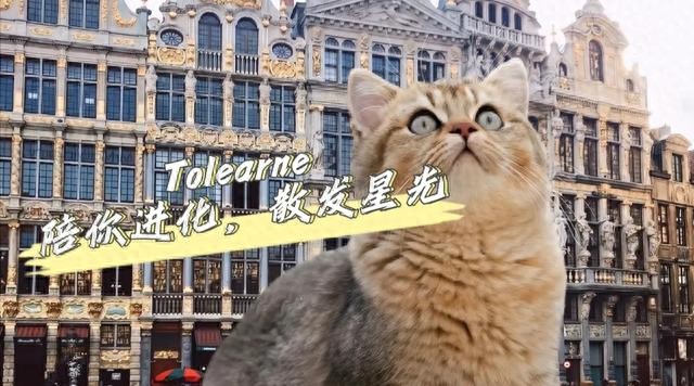 大学独来独往还是被迫合群?做好自己,把握机会实现蜕变